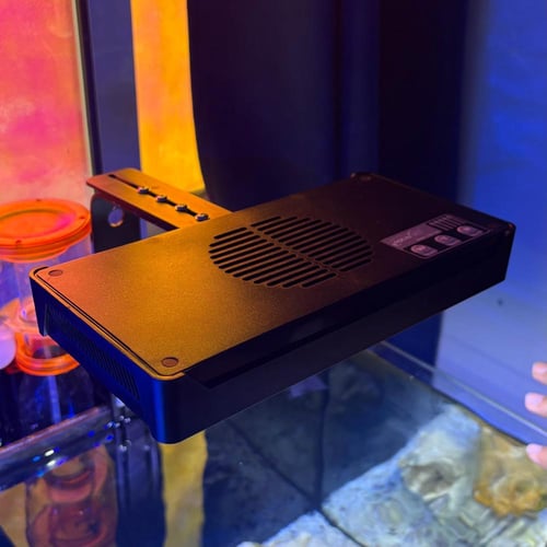 حوض بحري مكعب - M02