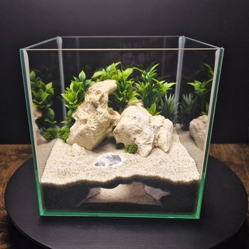 الكهف الصغير