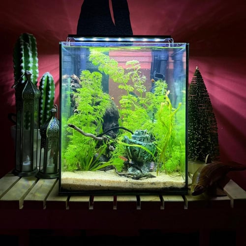 حوض نهري مكعب - P48