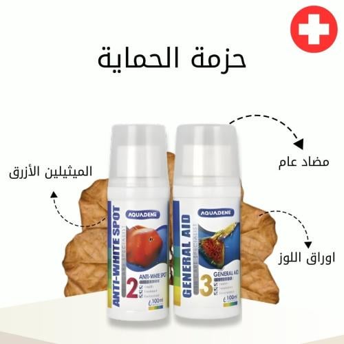 حزمة الحماية