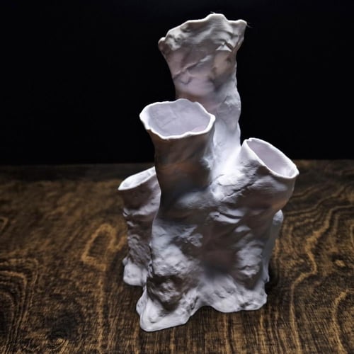 نفق الشعاب المرجانية