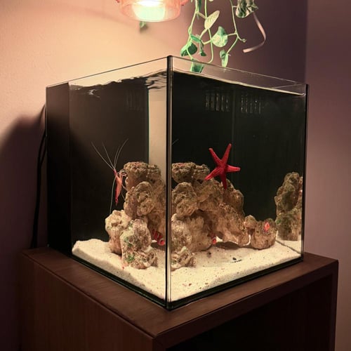 حوض نيمو بحري مكعب - M03