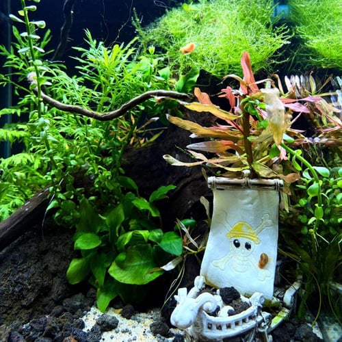 حوض نهري مكعب - P49