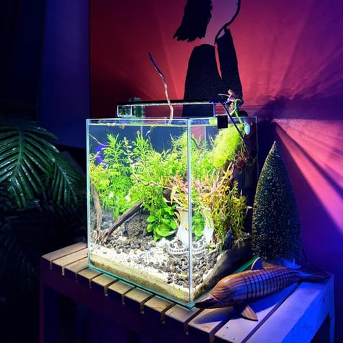 حوض نهري مكعب - P49