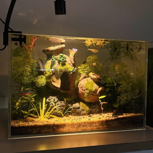 حوض نهري كلاسيك - P36