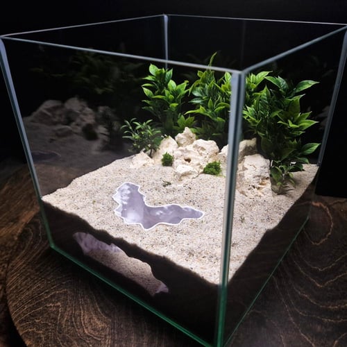 كانيون الظل