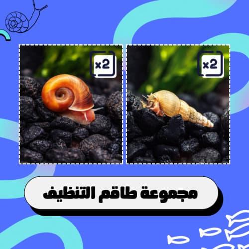 بكج الفرقة المنظفة