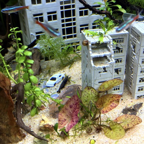 حوض نهري كلاسيك - P63