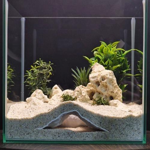 الأثر النجمي