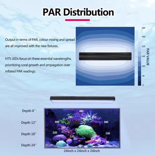 إضاءة أحواض الريف — PopBloom H54 WiFi