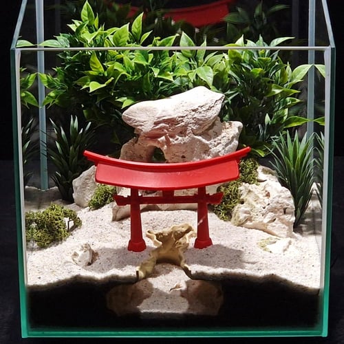 ممر التوري الياباني