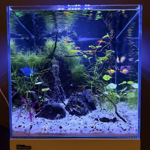 حوض نهري مكعب - P59