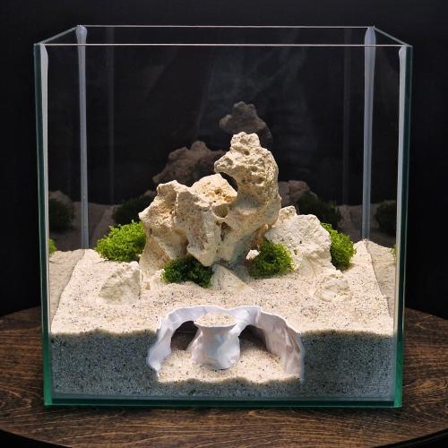 أطلال السديم