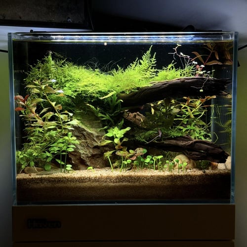 حوض نهري نانو - P56