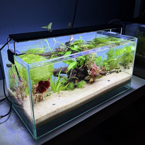 حوض نهري كلاسيك - P57