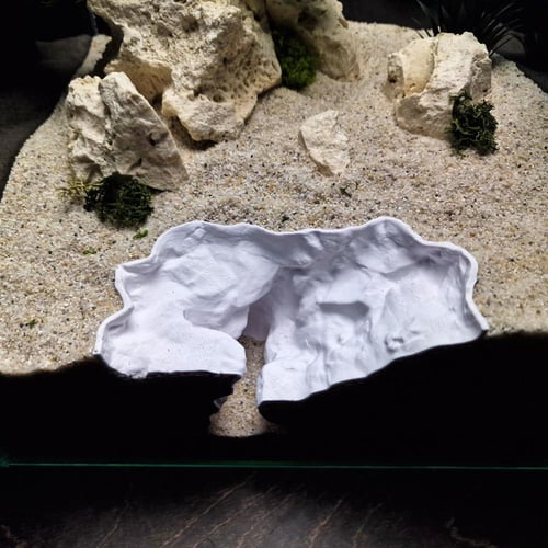 مخبأ الخشب المتحجر