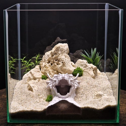 حافة التنين