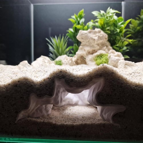 جذر الهاوية