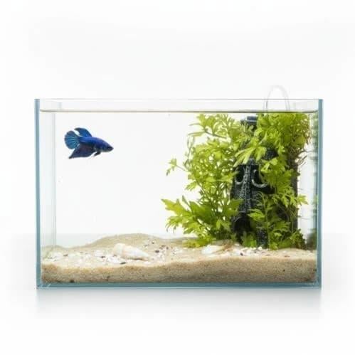 حوض نهري كلاسيك - P09