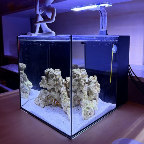 حوض بحري مكعب - M03