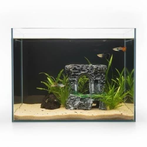 حوض نهري كلاسيك - P26