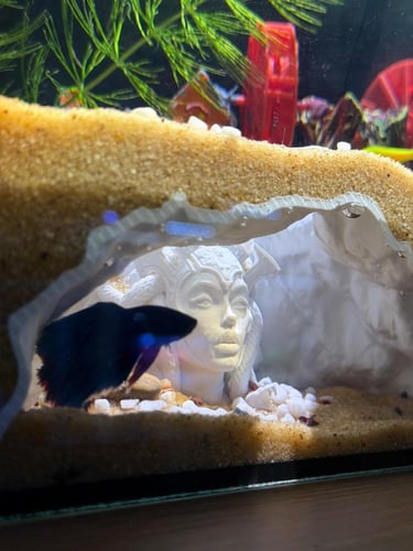 حوض نهري نانو - P29