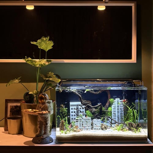 حوض نهري كلاسيك - P63