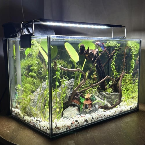 حوض نهري جاهز 13 لتر - A13