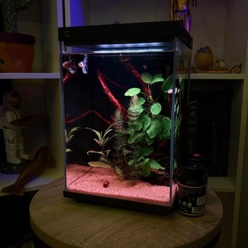 حوض نهري مكعب - P22