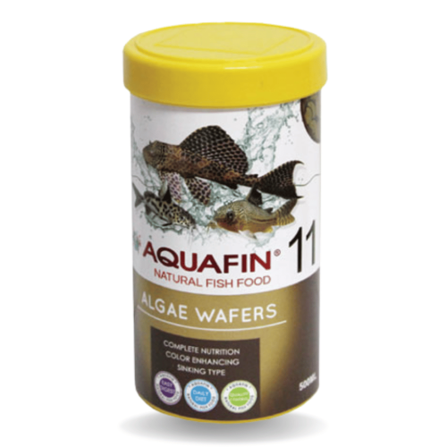 أكوافن بوتوم فيدر 15