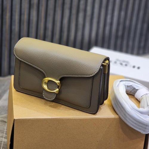 كوتش - تابي صغير