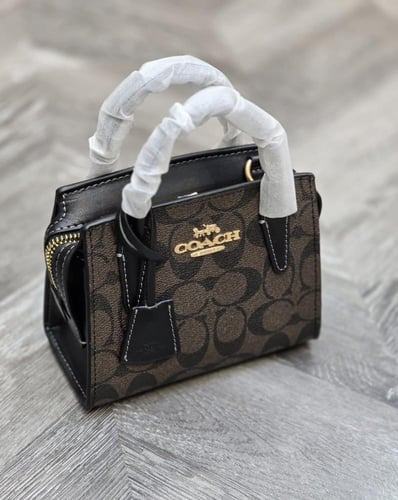 كوتش-اندريا صغير ماستر