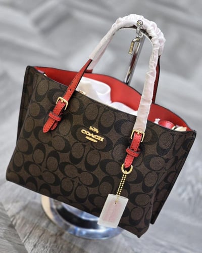 كوتش - توت ماستر