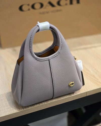 كوتش لانا ميني