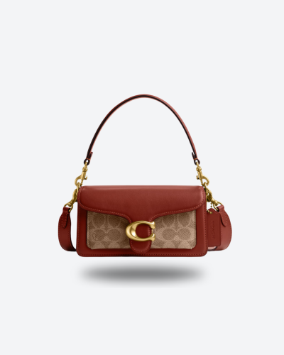 كوتش - تابي صغير