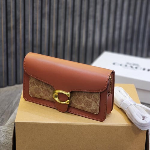 كوتش - تابي صغير