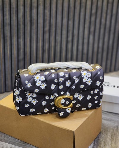 كوتش - تابي شولدر