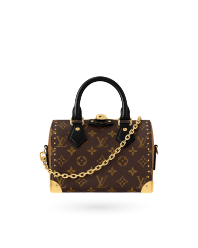 لويس فيتون ترانك سبيدي