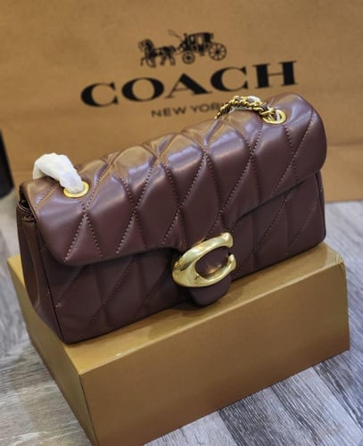 كوتش - تابي شولدر