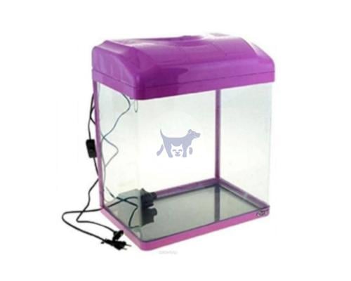 سي ستار حوض اسماك مع فلتر 240ZF