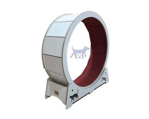 عجلة تمرين للقطط متعددة الالوان