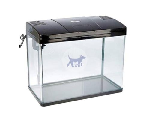 سي ستار حوض اسماك مع فلتر 500F