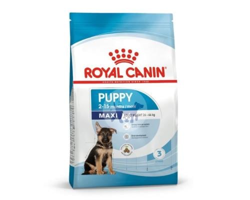 رويال كانين ماكسي بوبي طعام جاف للجراء كبيرة الحجم