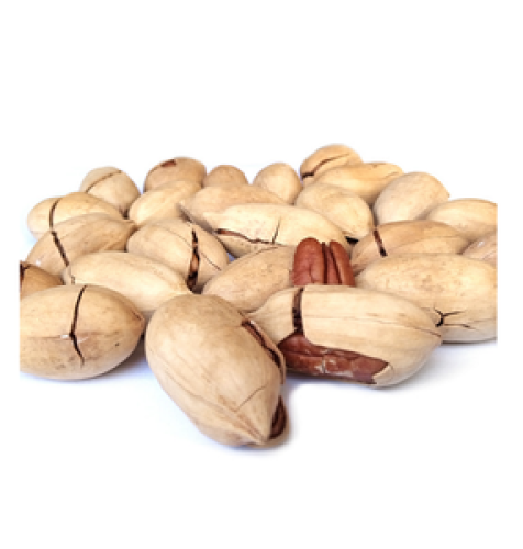Pecan nuts with shell 500 grams