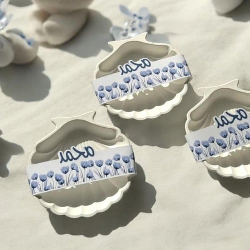 توزيعات كوستر صدفة بتنسيق ثيم