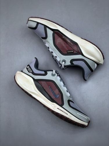 حذاء NK Air Zoom Pegasus 41 GORE-TEX