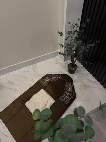 طقم صلاة