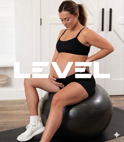 PREGNANCY WORKOUT PROGRAM