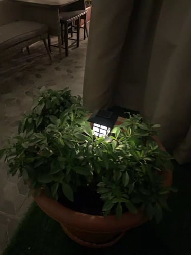 لمبات حدائق بالطاقة الشمسية ( 2 حبة )