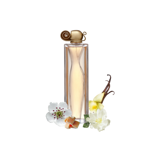 اورغنزا جفنشي